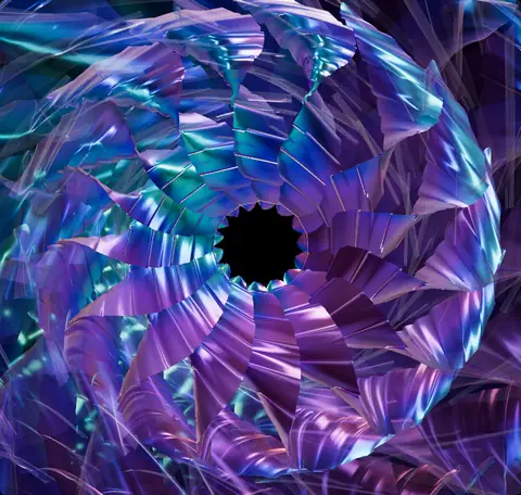 SPIRAL BLOOM