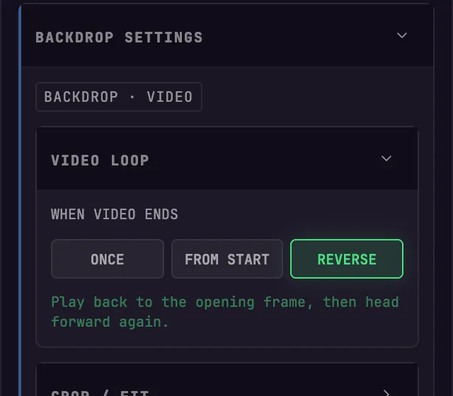 The VIDEO LOOP choices in BeamTracer Studio under BACKDROP SETTINGS: ONCE, FROM START and REVERSE, with REVERSE selected
