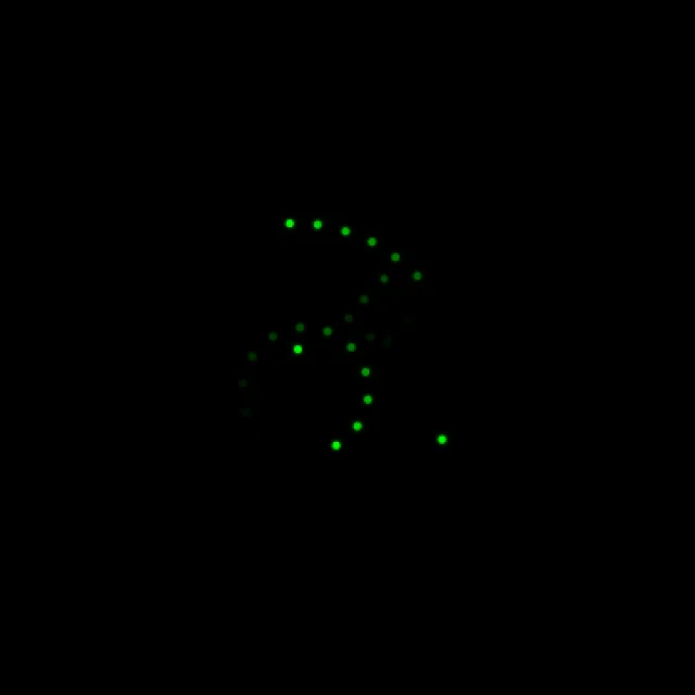 TRACER: two bright dotted comet tails running around the guitar outline